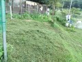 IMG_20250830_175621