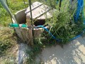 IMG_20250831_094701