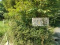 IMG_20250831_094705