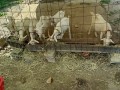 IMG_20250831_094840