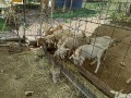 IMG_20250831_094848