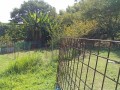 IMG_20250831_094945