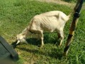 IMG_20250831_102505