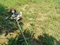 IMG_20250831_110419