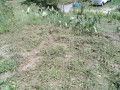 IMG_20250831_110421