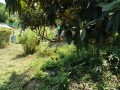 IMG_20250831_110427