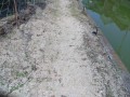 IMG_20250831_115616