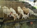 IMG_20250901_091811