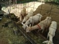 IMG_20250901_091819