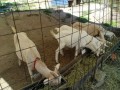 IMG_20250901_091835