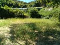 IMG_20250901_104301