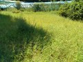 IMG_20250901_104351