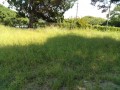 IMG_20250901_104402