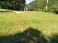 IMG_20250901_104405