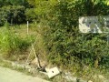 IMG_20250902_084919