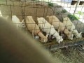 IMG_20250902_085703