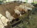 IMG_20250902_085722