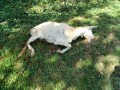 IMG_20250902_094918