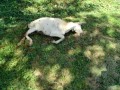IMG_20250902_094922