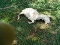 IMG_20250902_095305
