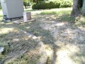 IMG_20250902_113659