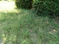 IMG_20250902_113835