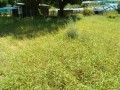 IMG_20250902_113847