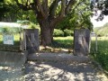 IMG_20250902_113934