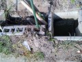 IMG_20250903_082356