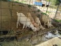 IMG_20250903_082955