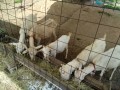 IMG_20250903_083004