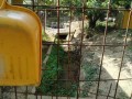 IMG_20250903_083012