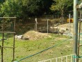 IMG_20250903_083034