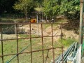 IMG_20250903_083218