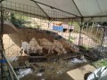 IMG_20250903_084429
