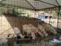 IMG_20250903_084435