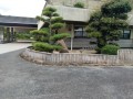 IMG_20250904_084231