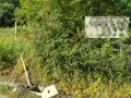 IMG_20250905_084239