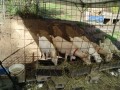 IMG_20250905_084740