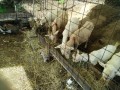 IMG_20250905_084752