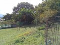 IMG_20250905_084824