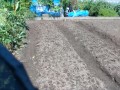 IMG_20250905_114547