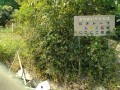IMG_20250907_110708