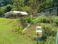 IMG_20250907_110733