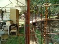 IMG_20250907_111107