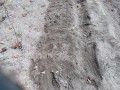 IMG_20250907_114141