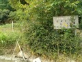 IMG_20250908_095439
