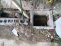 IMG_20250908_095444