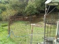 IMG_20250908_100429