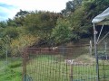 IMG_20250908_100432